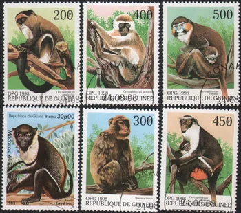 6db/Set Bissau-Guinea Posta Bélyeget 1998 Majom Orángután Élővilág Használt Post Megjelölt Postai Bélyegek Gyűjtése